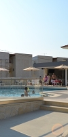 Aristotelis