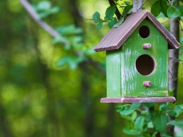 CONECTARE CU NATURA ȘI BRICOLAJ