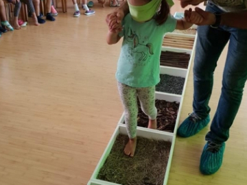 Săptămâna Verde - Atelier Senzorial