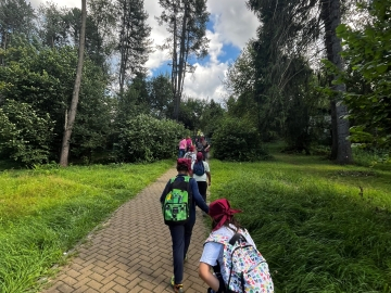 Evadarea din „pădure”