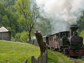 Maramures plai cu flori