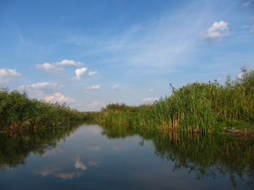 PARCUL DE AVENTURĂ COMANA ȘI PLIMBARE CU VAPORAȘUL PE LAC