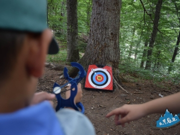 Robin Hood în misiune