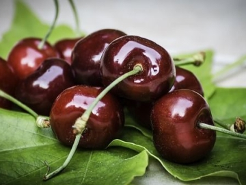 Excursie la Livada de Cirese