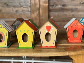CĂSUȚE PĂSĂRI
