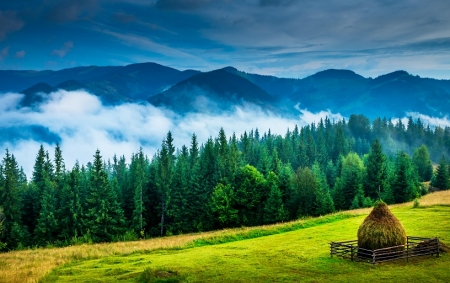 bucovina.jpg