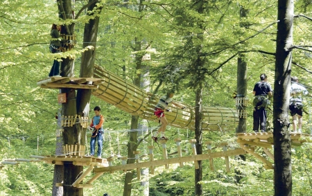 parc-aventura-gecko.jpg