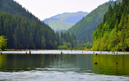 romania-lacul-rosu-1518619819.jpg