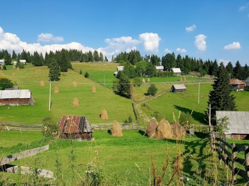 Peisaj rural din Bucovina