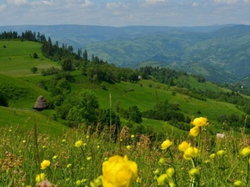Peisaj montan in Bucovina