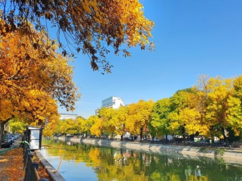 Bucuresti toamna